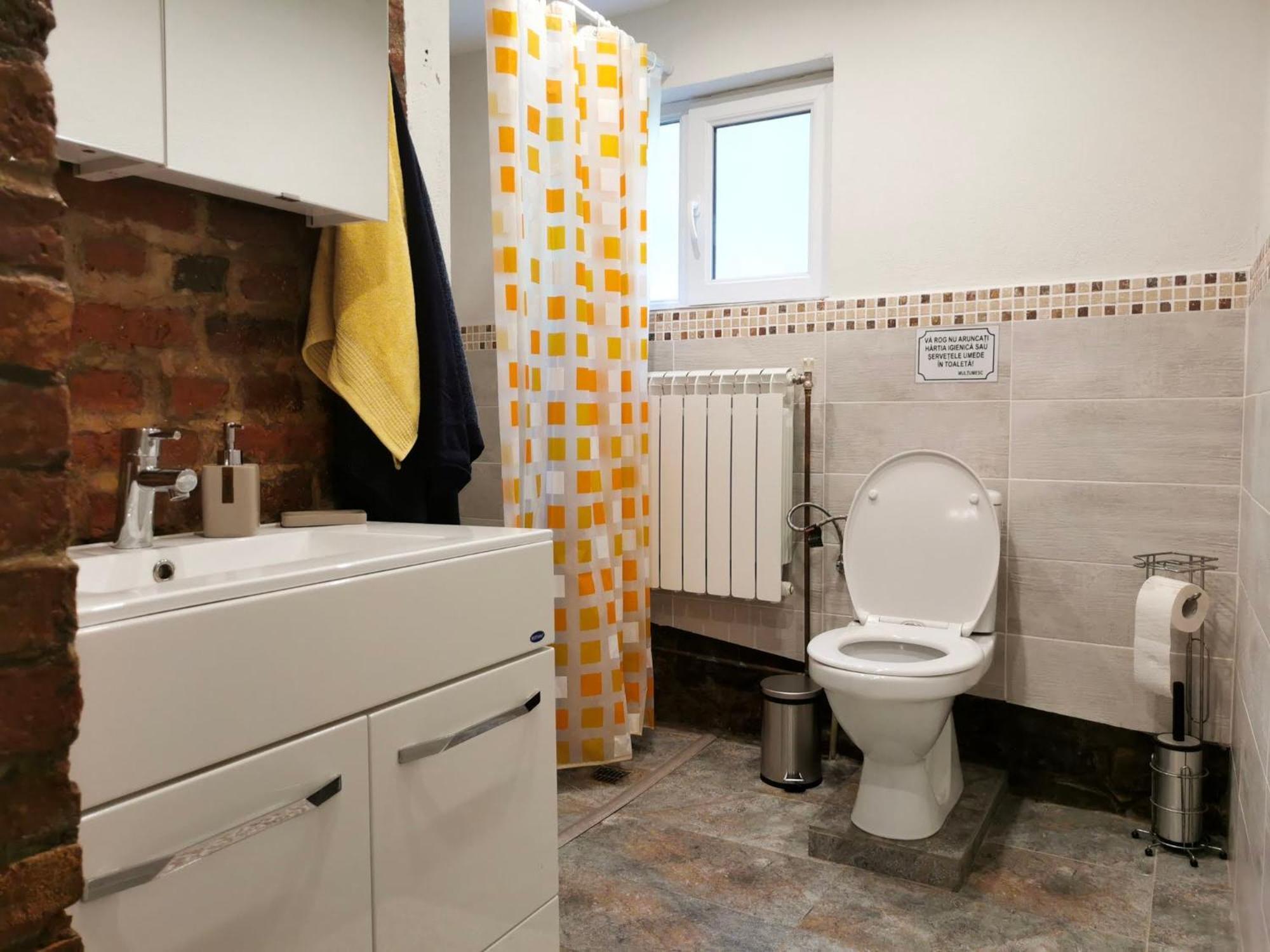 Вилла Casa Tihna Бэи­ле-Олэ­неш­ти Экстерьер фото