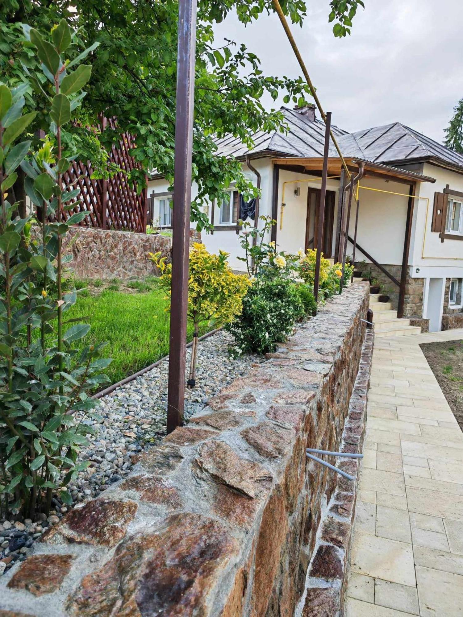 Вилла Casa Tihna Бэи­ле-Олэ­неш­ти Экстерьер фото