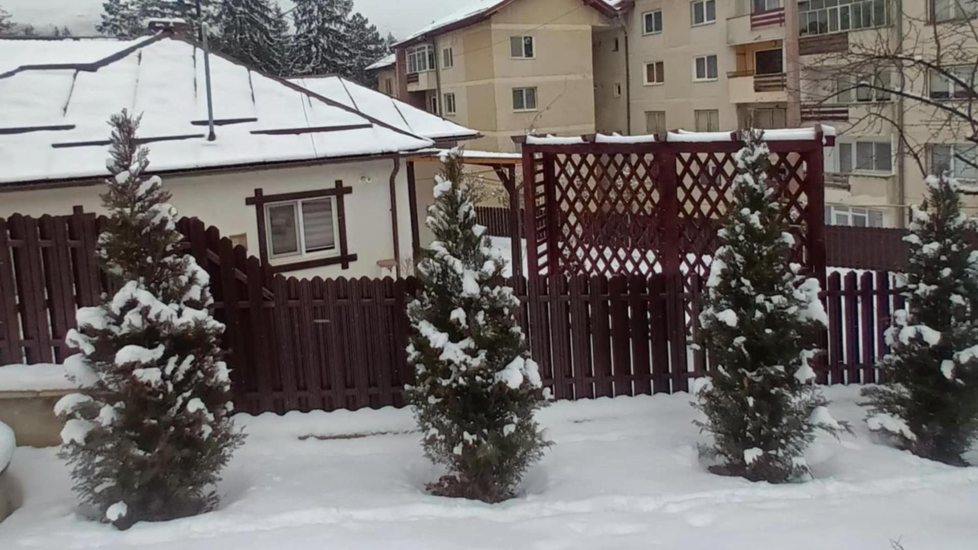 Вилла Casa Tihna Бэи­ле-Олэ­неш­ти Экстерьер фото